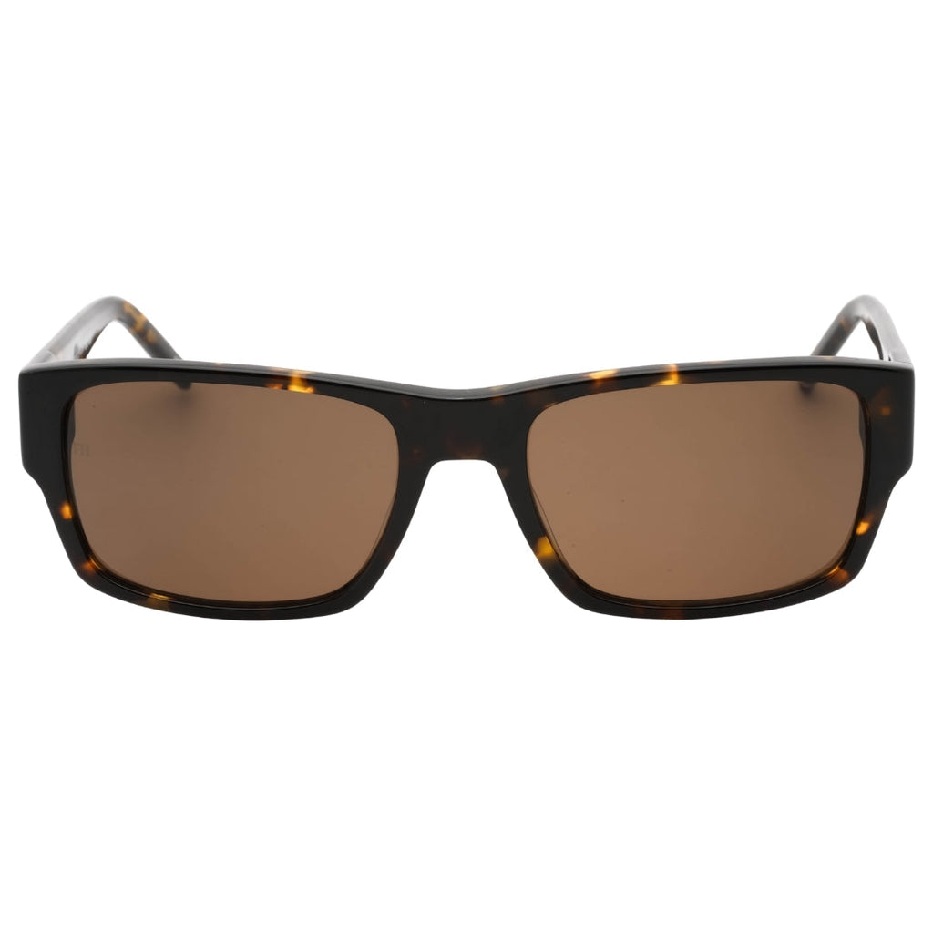 Tommy Hilfiger Brown Lens Havana Sunglasses One Size