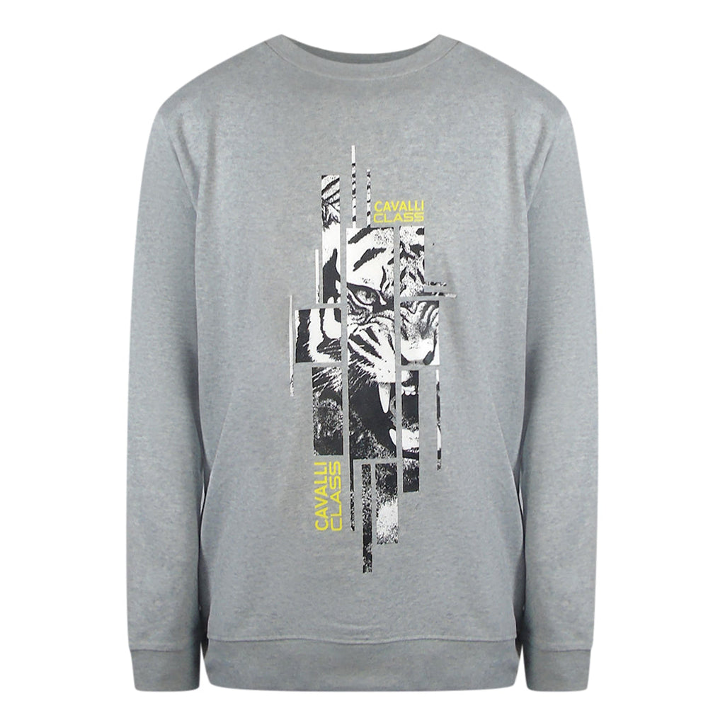 Cavalli Class Txt66E Cf050 05001 Grey Round Neck Sweatshirt Mens M